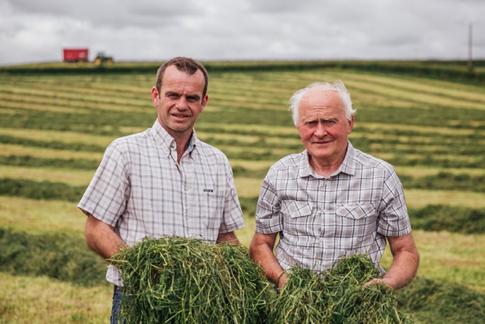 Ballylisk Dairies | todelli.com